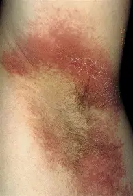 630成都蓉城vs沧州雄狮 630成都蓉城vs沧州雄狮
